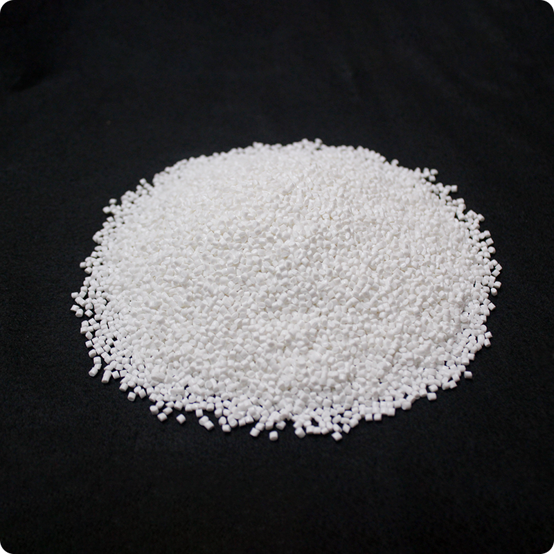 নাইলন 6 চিপস